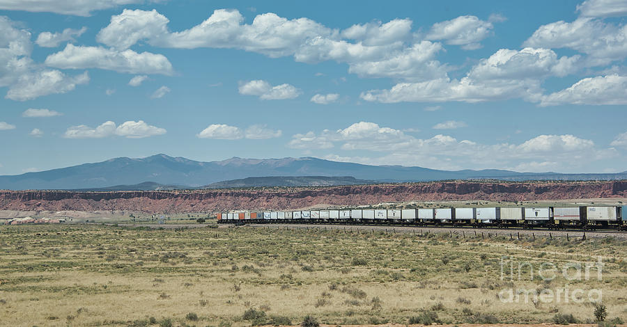 Cargo Train Photograph by Andrea Anderegg