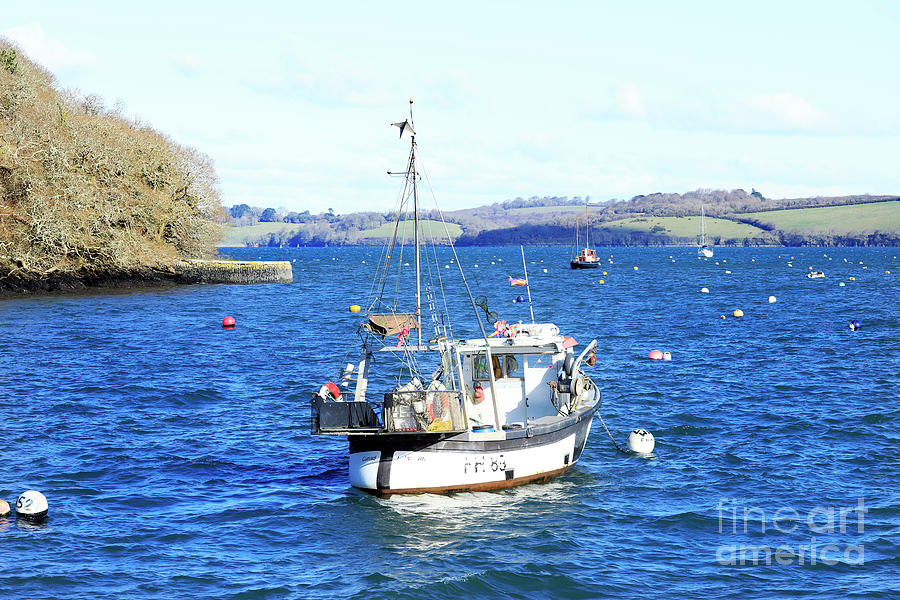 Cariad FH 89 Mylor Photograph by Terri Waters