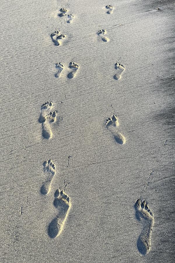 Beach Photograph -  Caribbean Beach Footprints  by David Pyatt