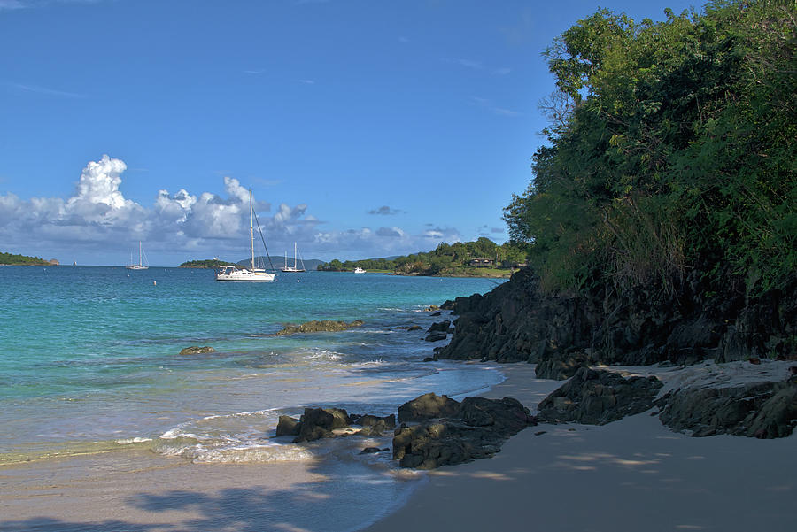 Caribbean Beach Morning Photograph by Matthew DeGrushe