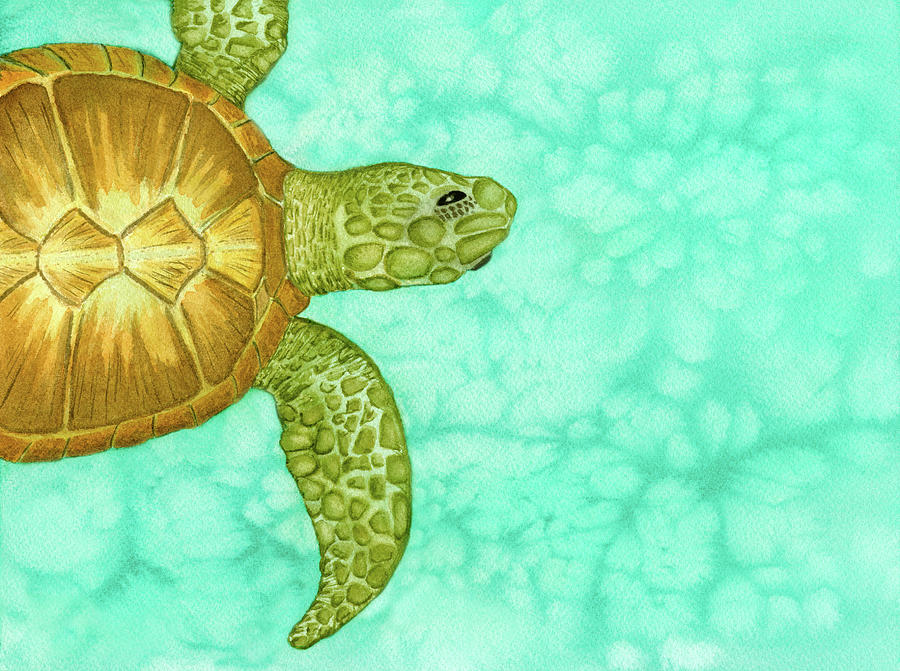 Caribbean Dream Sea Turtle Watercolor Painting by Deborah League