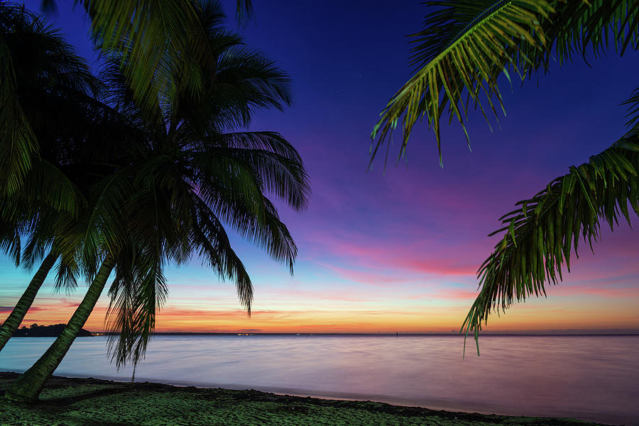 Caribbean mornings Photograph by Yuri Santin