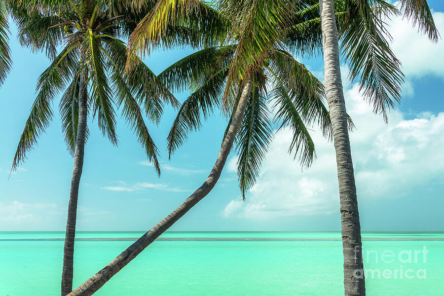 Caribbean paradise, Marathon, Florida Keys Photograph by Delphimages Photo Creations Caribbean paradise, Marathon, Florida Keys Photograph by Delphimages Photo Creations