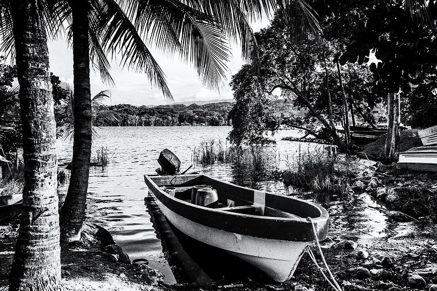 Caribbean Riverside - Black And White Photograph