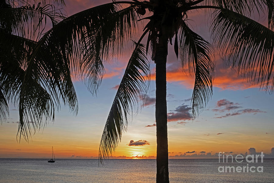 Caribbean Sea at Sunset Photograph by Arterra Picture Library