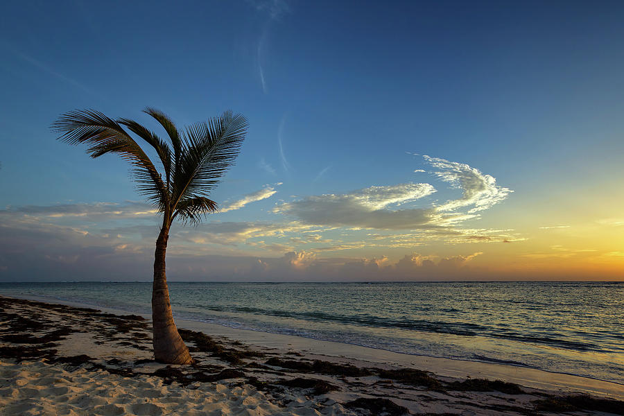 Caribbean Sunrise Photograph by Ian Good