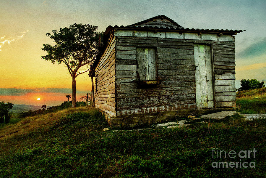 Caribbean sunset with typical wood house  Digital Art by Jose Rey