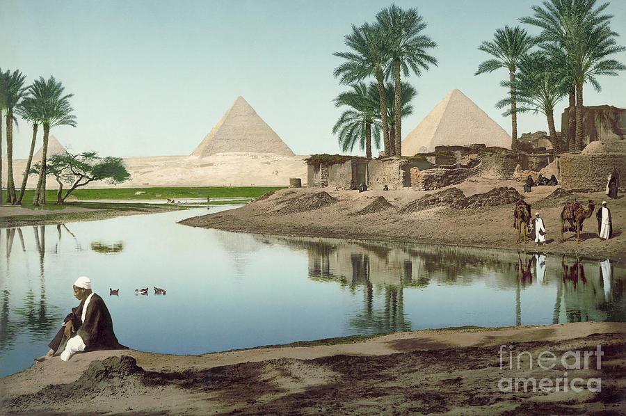Cario, Egypt, c1900 Photograph by Granger