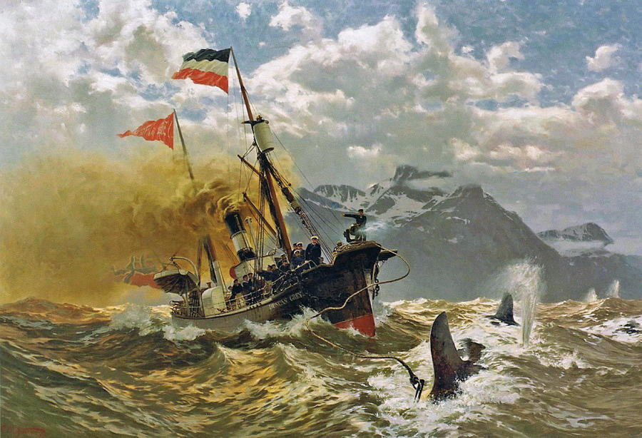 Carl Saltzmann 1847 - 1923 Whaling with the Duncan Grey, 1900 Painting by Artistic Rifki