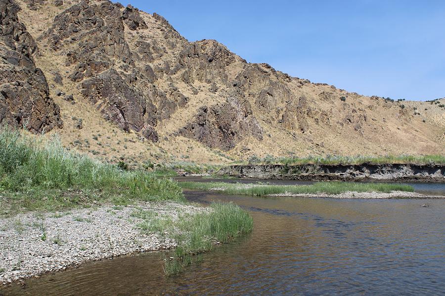 Carlin Canyon Elko County II Nevada USA Photograph by Curtis Boggs