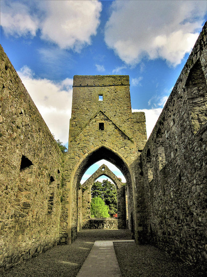 Carlingford Abbey, County Louth Photograph by Celtic Postcards