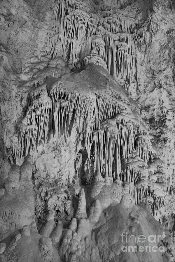 Carlsbad Caverns Cave Shield Formations Black And White Photograph by Adam Jewell