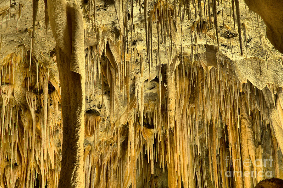 Carlsbad Caverns Endless Stalagmites  Photograph by Adam Jewell