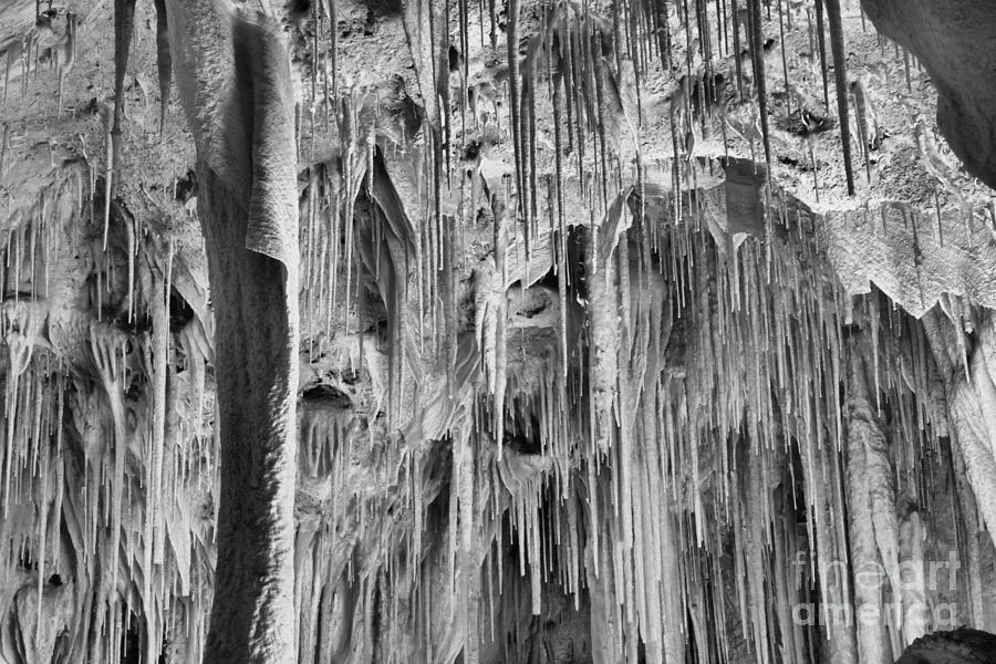Carlsbad Caverns Endless Stalagmites Black And White Photograph by Adam Jewell