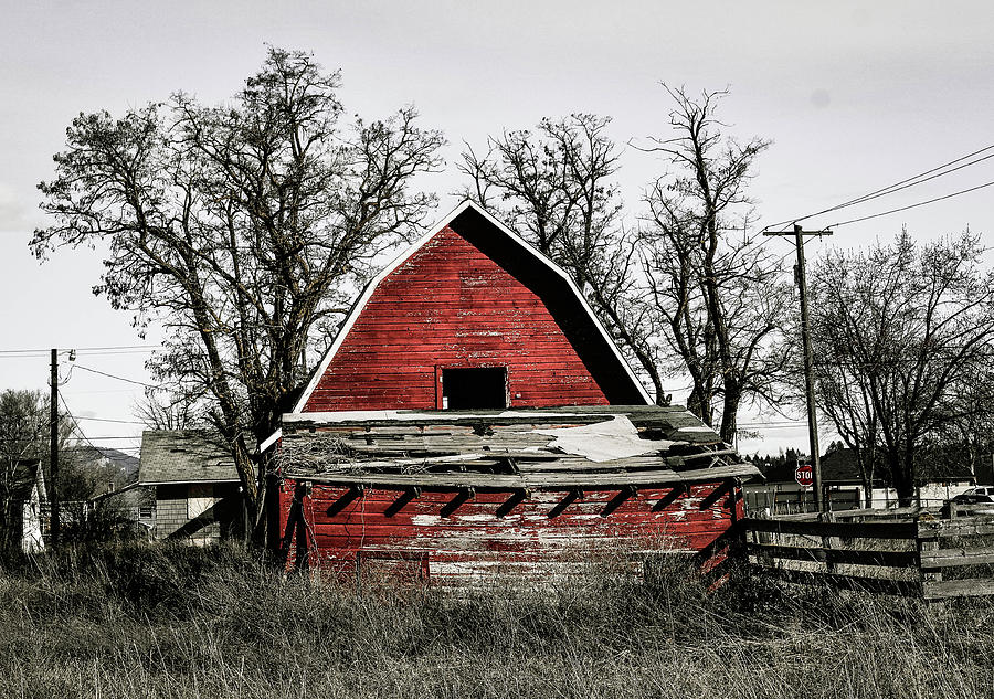 Barn Photograph - Carlson Barn 7 by Cindy Nunn Barn Photograph - Carlson Barn 7 by Cindy Nunn