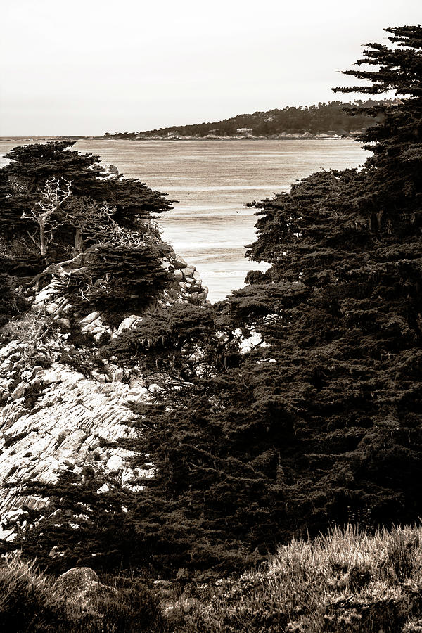 Carmel Bay Overlook -1 Photograph by Alan Hausenflock