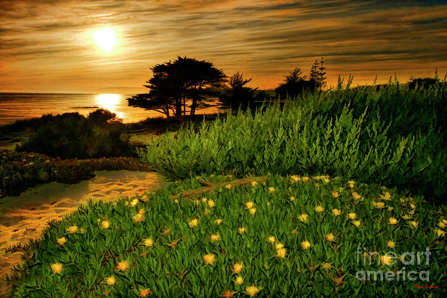 Carmel Beach Yellow Flower Sunset Photograph by Blake Richards