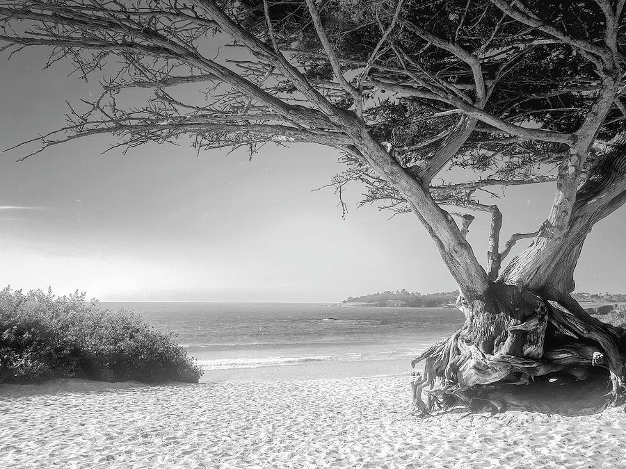 Carmel-By-The-Sea BW Photograph by Christina Ford - Fine Art America