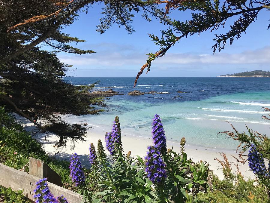 Carmel Day Monterey Photograph