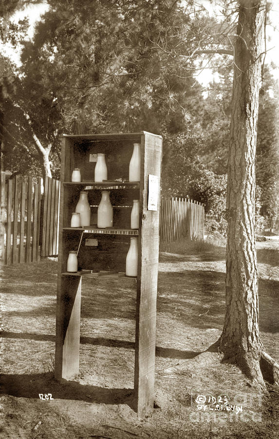 Carmel Photograph - Carmel  milk shrines Photo by L. S. Slevin, 1923 by Monterey County Historical Society