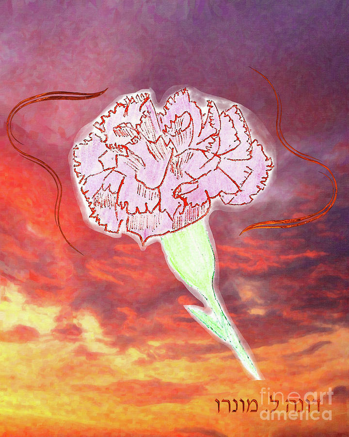 Carnation and Sunrise Digital Art by Donna L Munro