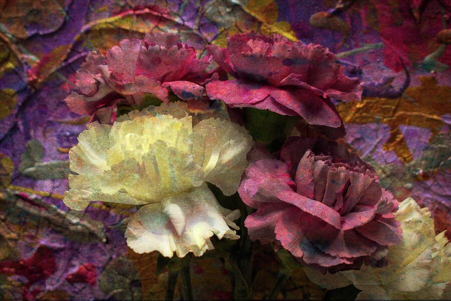 Carnations Abstracted Photograph by Cathy Mahnke