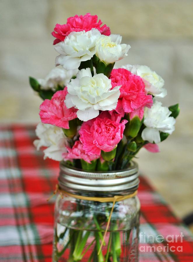 Carnations and Mason Jar Photograph by Jan Prewett - Fine Art America