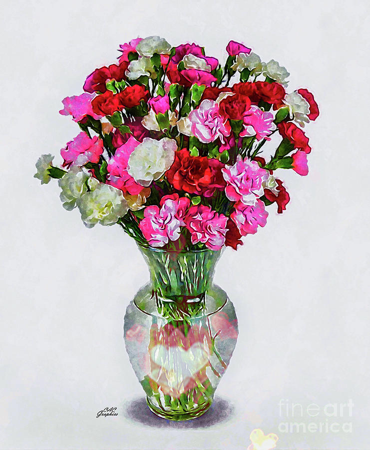 Carnations  Digital Art by CAC Graphics