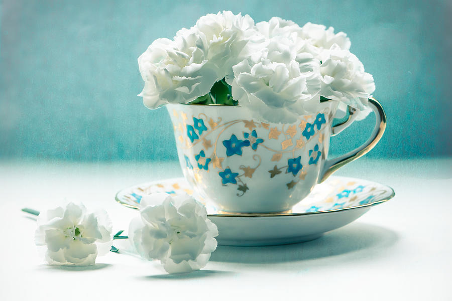 Carnations in a Teacup Photograph by Maggie Terlecki