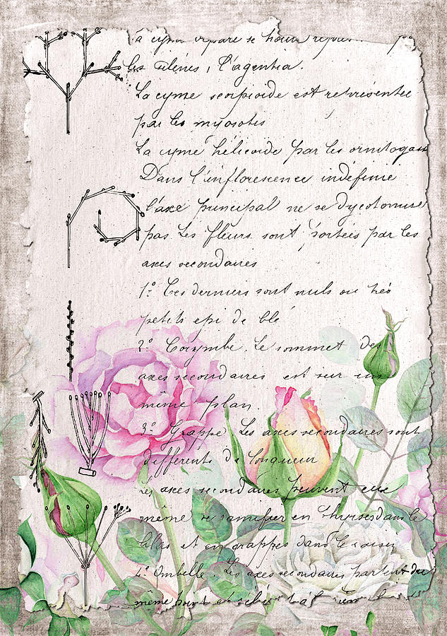 French Digital Art - Carnet Botanique 3 by Pauline Black French Digital Art - Carnet Botanique 3 by Pauline Black