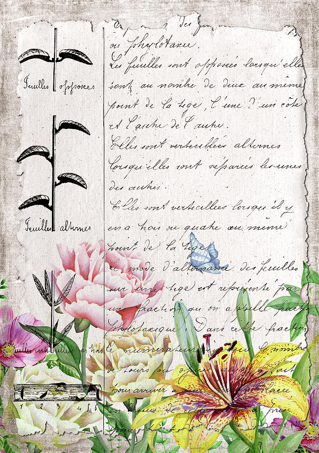 French Digital Art - Carnet Botanique 4 by Pauline Black French Digital Art - Carnet Botanique 4 by Pauline Black