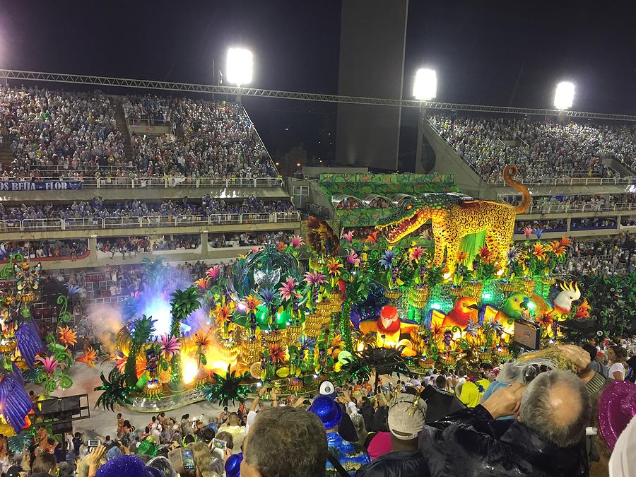 Carnival In Rio Photograph by Marlene Challis