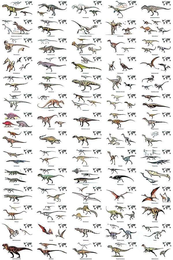 Carnivore dinosaurs with maps and names Painting by Darren Jones - Pixels