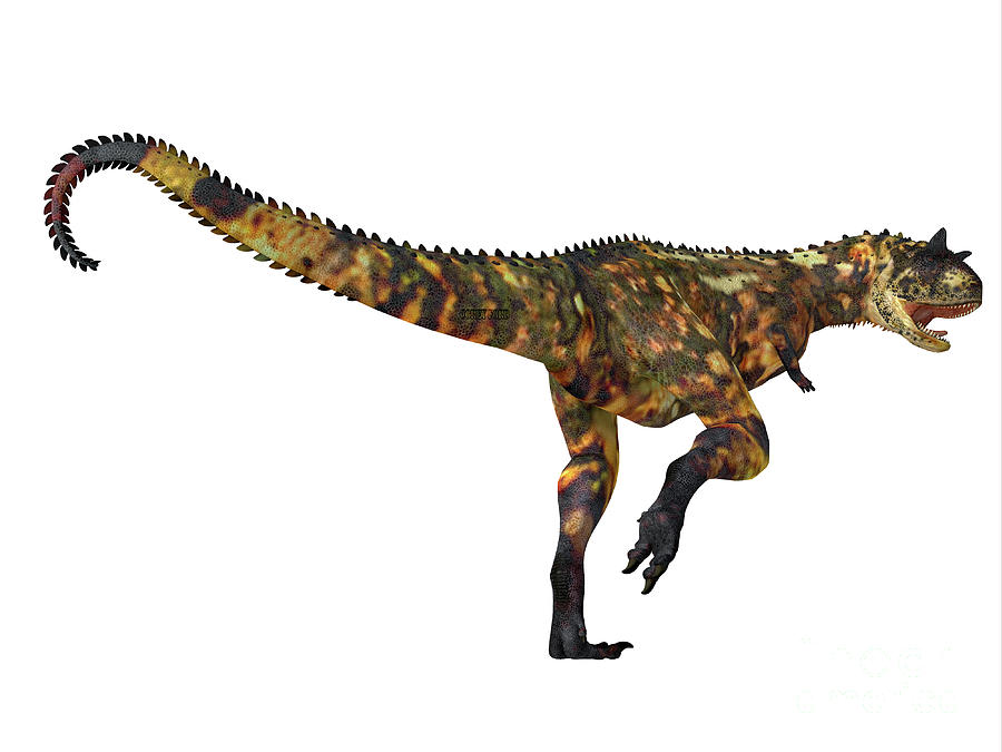 Carnotaurus Dinosaur Tail Digital Art by Corey Ford
