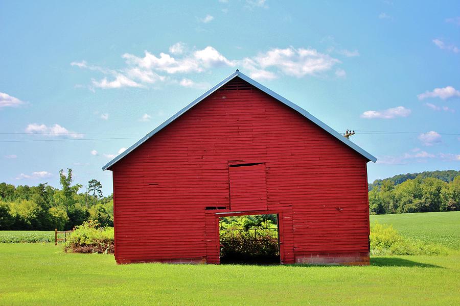 Carolina Blue Sky And Red Barn Photograph by Cynthia Guinn