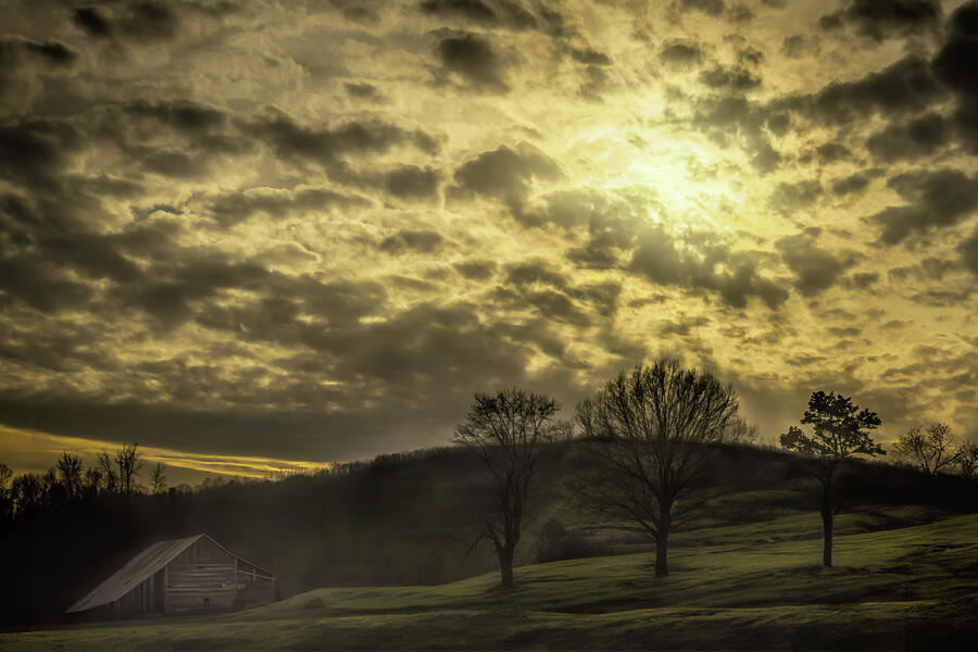 Carolina Farm Sunset Photograph by Norma Brandsberg - Fine Art America