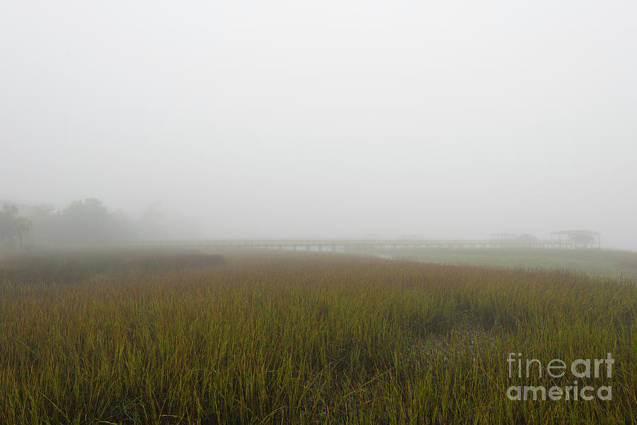 Carolina Rain and Fog Photograph by Dale Powell