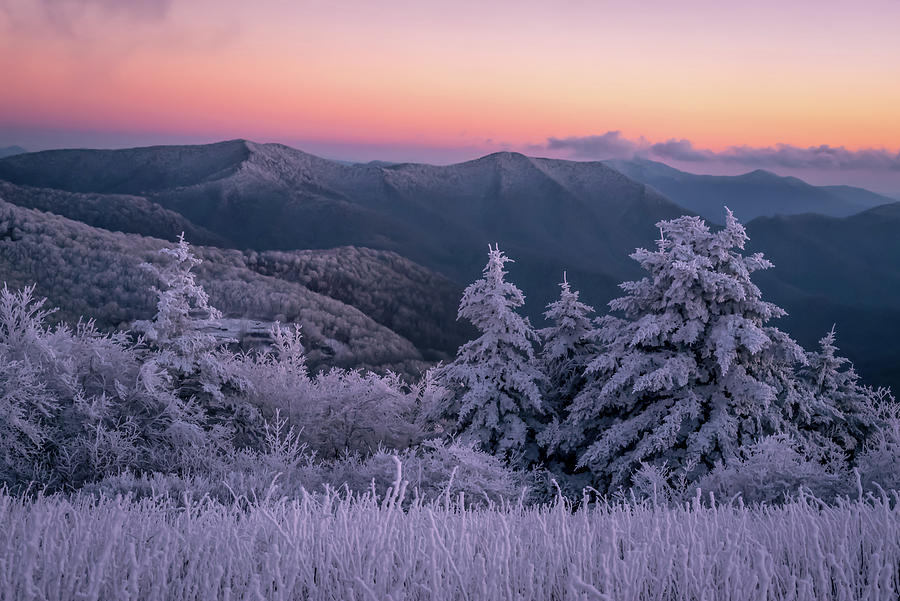 Carolina winter Photograph by Serge Skiba