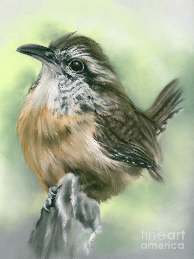 Carolina Wren Perky Bird Portrait Painting by MM Anderson