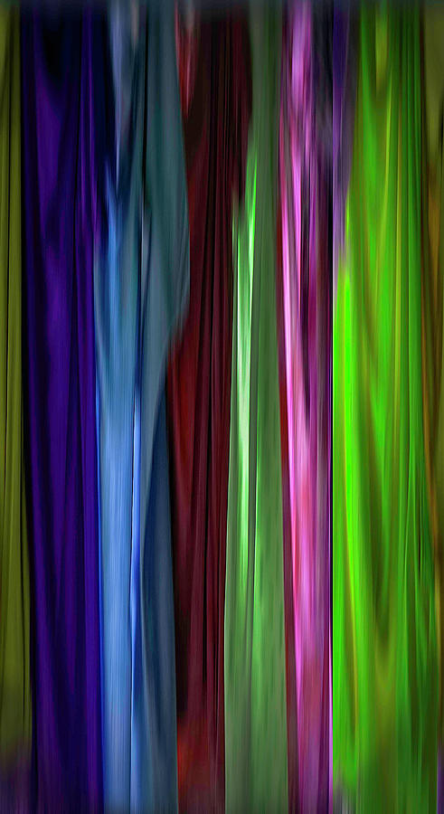 Carols Curtain Photograph by Wayne King