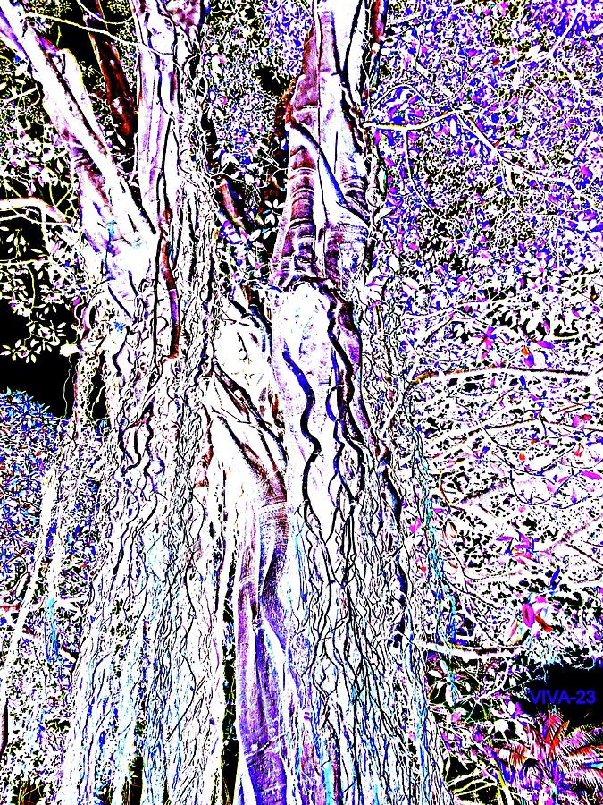 Carolyns Tree - Dreamtime Photograph by VIVA Anderson