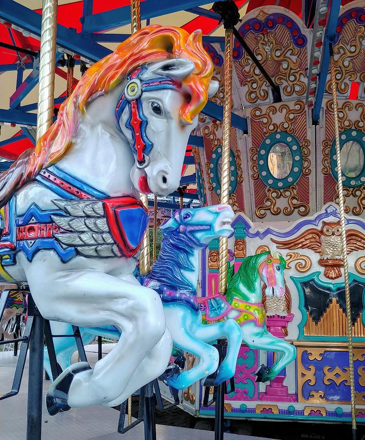 Carousel Colors Photograph by Darrell MacIver