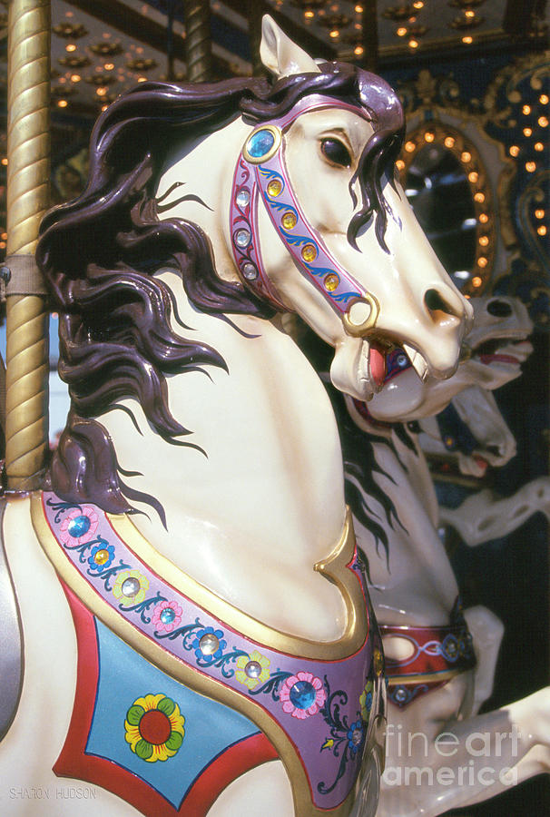 carousel fantasy steed - White Horse in Lavender Photograph by Sharon Hudson