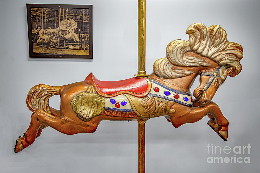 Carousel Horse  Photograph by Kevin Anderson