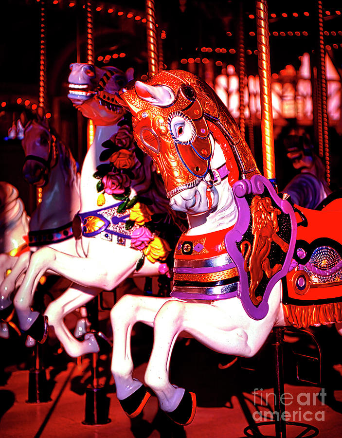 Carousel, horses, Orlando Fl  Photograph by Tom Jelen
