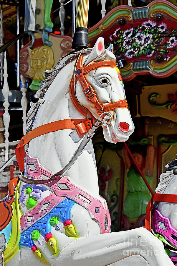Carousel Pony in White Photograph by Regina Geoghan