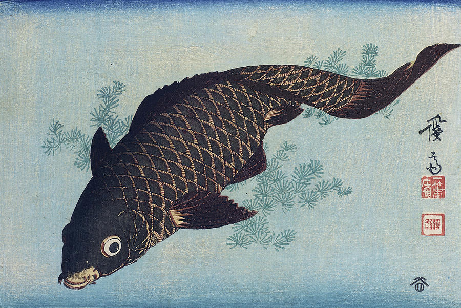 Carp Digital Art by Ukiyo-e - Pixels