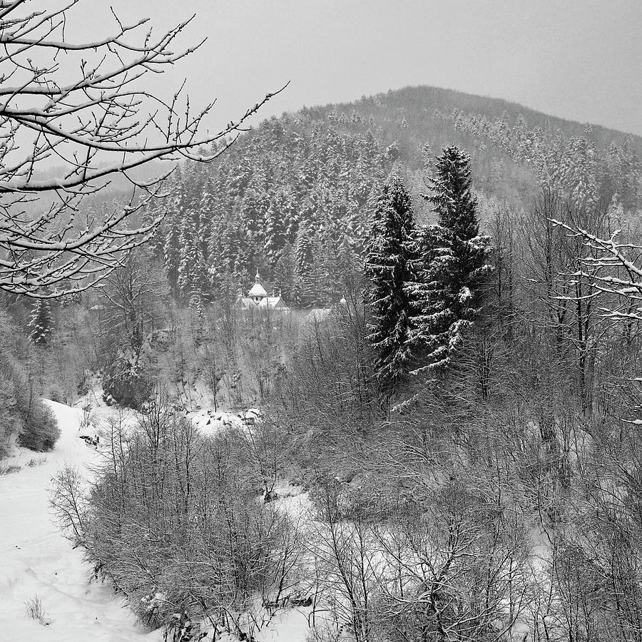 Carpathian Winter Photograph by Andrii Maykovskyi