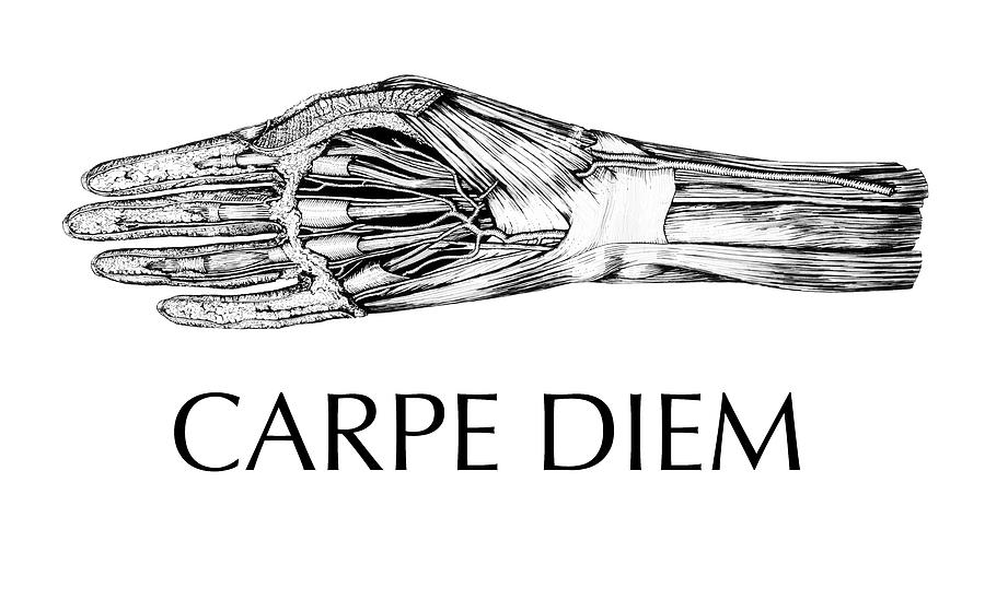 CARPE DIEM Dead Hand Digital Art by Russell Kightley