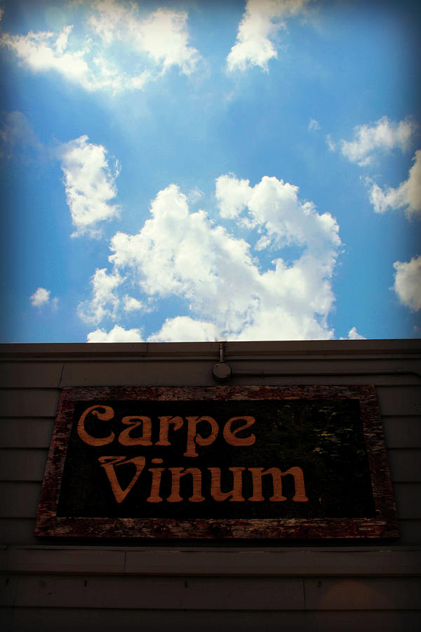 Carpe Vinum Photograph by Cyryn Fyrcyd